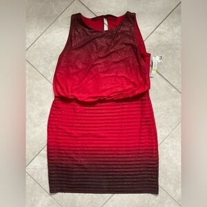 NWT R&M Richards Elegant Red Ombre Dress